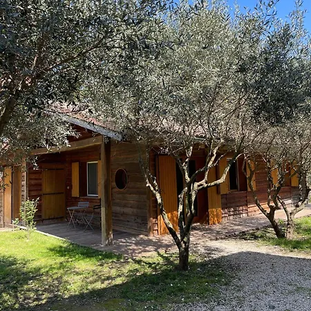 Chalet Le Des Oliviers Vezenobres