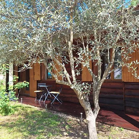 Le Des Oliviers * Vezenobres